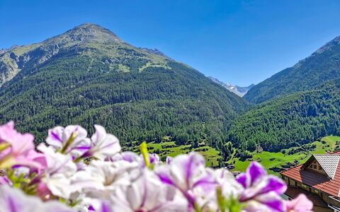 Alpenblick: Montagna, Geografia Montane, Fiore, Collina, Catena Montuosa, Highland, Hill Station, Paesaggio, Valle, Cresta