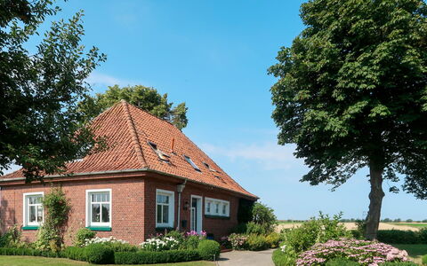 Huuske am Polder: Casa, Casa, Proprietà, Zona Residenziale, Villetta, Estate, Costruzione, Albero, Immobiliare, Cielo
