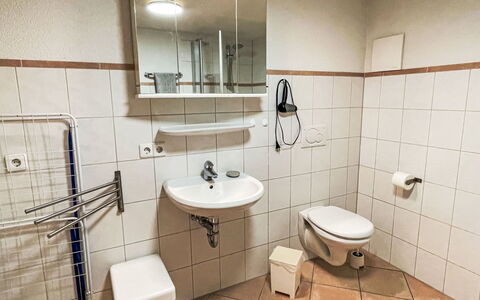Mühlenmichelshäusle: Idraulico Fixture, Interior Design, Lavello, Pavimentazione, Rubinetto, Idraulico, Lavandino Del Bagno, Pavimento, Camera, Bagno