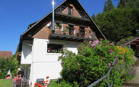 Haus Ganter: Pianta, Cielo, Fiore, Costruzione, Finestra, Casa, Albero, Lotto, Villetta, Erba