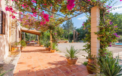 Ses Sitjoles: Pianta, Fiore, Costruzione, Cielo, Natura, Finestra, Vegetazione, Paesaggio, Immobiliare, Manto Stradale