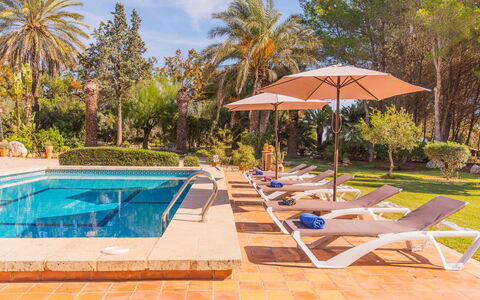Ses Sitjoles: Acqua, Proprietà, Pianta, Nube, Cielo, Ombrello, Piscina, Albero, Shade, Lettino