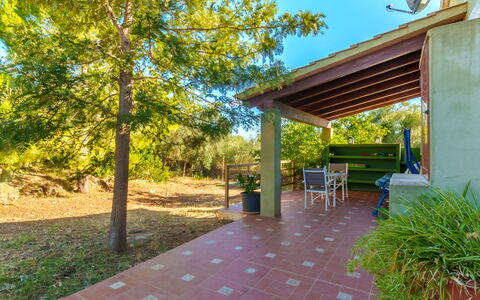 Estrella: Pianta, Proprietà, Cielo, Tavolo, Foglia, Shade, Sedia, Mobili Da Esterno, Albero, Legna