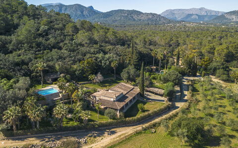 Can Ferre Nou: Albero, Estate, Piantagione, Hacienda, Eco Hotel, Agriturismo, Dimora, Villa, Sempreverde