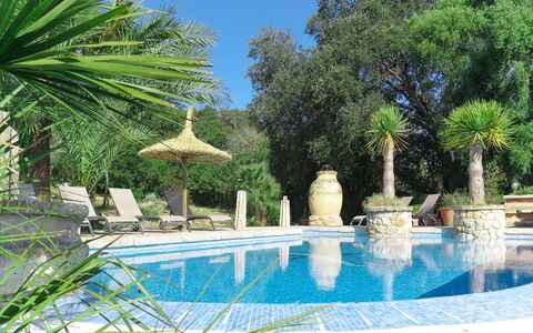 Can Segue: Piscina, Proprietà, Albero, Palma, Immobiliare, Blu Majorelle, Vacanza, Botanica, Arecales, Costruzione