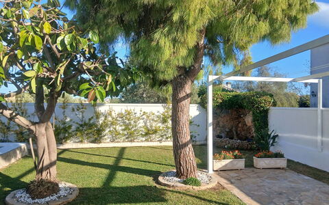 Villa Lolin: Giardino, Shade, Woody Impianto, Prato, Landscaping, Cortile, Backyard, Vaso Di Fiori