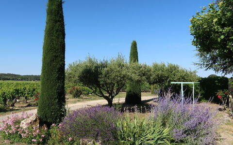 Le Mas: Pianta, Cielo, Comunita 'Impianto, Fiore, Paesaggio Naturale, Albero, Lotto, Vegetazione, Erba, Arbusto