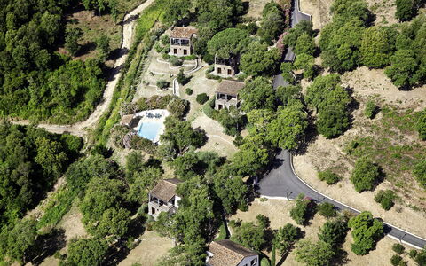 A Mandria: Pianta, Proprietà, Paesaggio Naturale, Albero, Lotto, Urban Design, Costruzione, Zona Residenziale, Area Rurale, Paesaggio