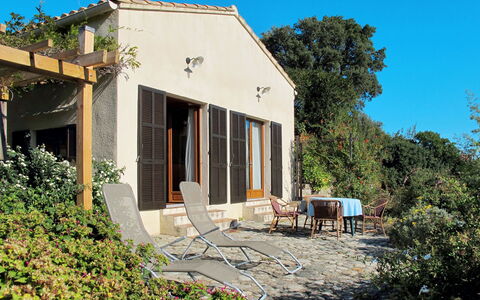 Svyntha: Proprietà, Casa, Casa, Zona Residenziale, Immobiliare, Costruzione, Architettura, Area Rurale, Villetta, Quartiere