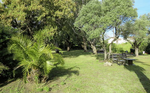 Les Chênes: Albero, Vegetazione, Proprietà, Paesaggio Naturale, Erba, Lotto, Riserva Naturale, Casa, Immobiliare, Pianta