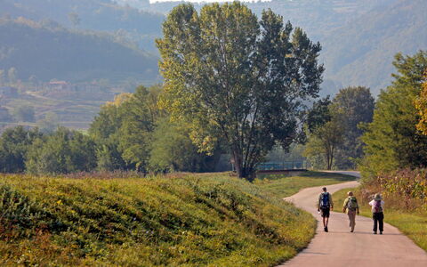 Kušar: Albero, Verde, Foglia, Erba, Paesaggio Naturale, Vegetazione, Strada, Pascolo, Trail
