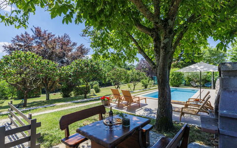 Tomazin: Arbusto, Giardino, Shade, Landscaping, Prato, Cortile, Backyard, Estate, Eco Hotel, Mobili Da Esterno