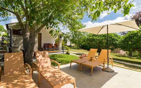 Tomazin: Pianta, Proprietà, Mobilia, Costruzione, Shade, Albero, Mobili Da Esterno, Ombrello, Tavolo Esterno, Urban Design