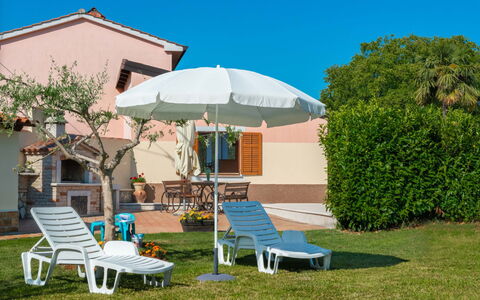Medica: Pianta, Cielo, Mobilia, Comunita 'Impianto, Ombrello, Azzurro, Costruzione, Shade, Mobili Da Esterno, Albero