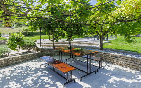 Carlo: Pianta, Tavolo, Panchina, Botanica, Shade, Albero, Mobili Da Esterno, Urban Design, Tempo Libero, Manto Stradale
