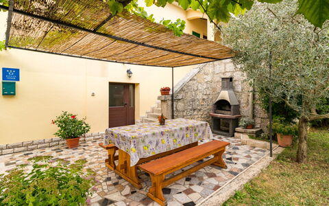 Sonja: Pianta, Costruzione, Proprietà, Mobilia, Panchina, Botanica, Tavolo, Natura, Finestra, Shade