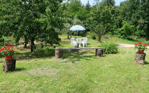 Fortica: Giardino, Erba, Proprietà, Cortile, Prato, Lotto, Backyard, Botanica, Albero, Casa