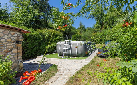 Paolici: Giardino, Backyard, Landscaping, Parco, Edifici Giardino