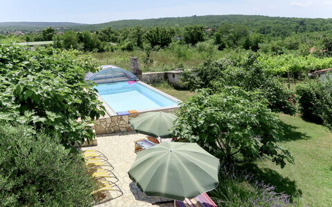 Laura: Proprietà, Ombrello, Biome, Botanica, Comunita 'Impianto, Erba, Casa, Lotto, Area Rurale, Vacanza