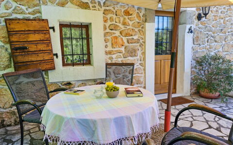 Mia: Tavolo, Mobilia, Pianta, Proprietà, Sedia, Vaso Di Fiori, Tovaglia, Interior Design, Pianta Della Casa, Legna