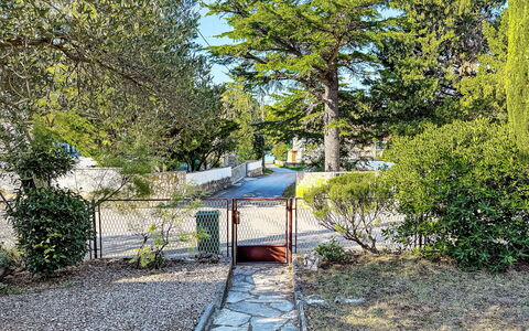 Gottwald: Albero, Foglia, Ramo, Vegetazione, Arbusto, Giardino, Primavera, Woody Impianto, Shade, Passerella