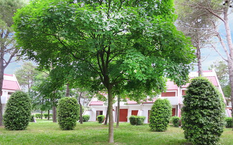 Villaggio Marina: Albero, Verde, Woody Impianto, Pianta, Proprietà, Foglia, Casa, Primavera, Erba, Immobiliare