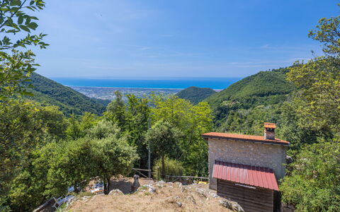 Vincio: Cielo, Comunita 'Impianto, Pianta, Montagna, Blu, Paesaggio Naturale, Highland, Lotto, Albero, Terreno
