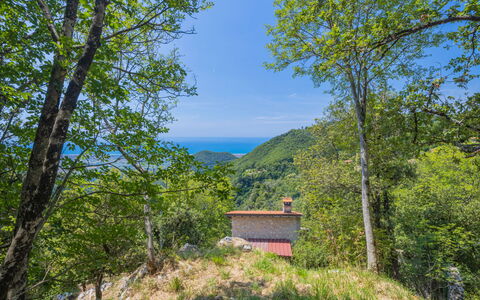Vincio: Natura, Albero, Proprietà, Riserva Naturale, Vegetazione, Ambiente Naturale, Natura Selvaggia, Montagna, Cielo, Foresta