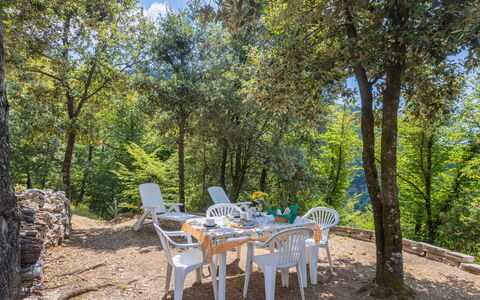 Vincio: Proprietà, Natura, Albero, Immobiliare, Tavolo, Riserva Naturale, Ambiente Naturale, Mobilia, Villetta, Casa