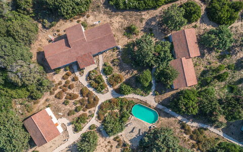 Mare di Ginepri (Bad115): Costruzione, Ecoregione, Pianta, Lotto, Urban Design, Casa, Biome, Quartiere, Albero, Zona Residenziale