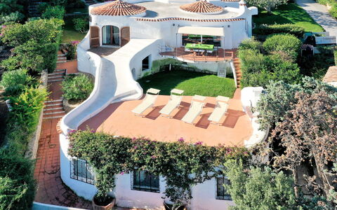 Hibiscus: Proprietà, Casa, Costruzione, Immobiliare, Zona Residenziale, Dimora, Estate, Casa, Landscaping, Paesaggio