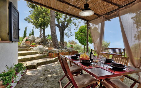 Ciuffini: Pianta, Proprietà, Tavolo, Costruzione, Albero, Interior Design, Cielo, Shade, Mobili Da Esterno, Sedia