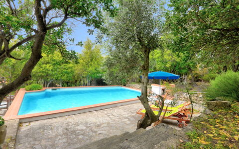 Ciuffini: Pianta, Acqua, Piscina, Albero, Shade, Mobili Da Esterno, Cielo, Paesaggio, Tempo Libero, Erba