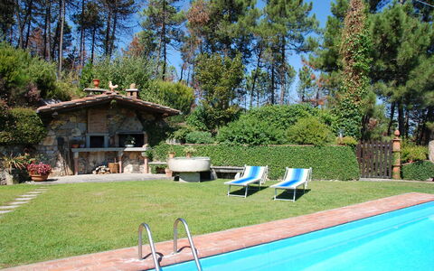 Al Mennucci: Proprietà, Piscina, Immobiliare, Backyard, Casa, Cortile, Casa, Erba, Tempo Libero, Estate