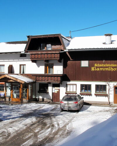 Zell am Ziller 615