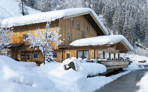Talbach: Neve, Costruzione, Giorno, Proprietà, Finestra, Albero, Casa, Ramo, Villetta, Acqua