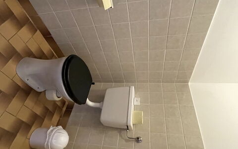 Wildschönau 650: Idraulico Fixture, Gabinetto, Bagno, Interior Design, Pavimentazione, Pavimento