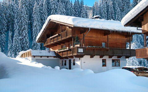 Wildschönau 664: Costruzione, Cielo, Neve, Albero, Casa, Pendenza, Legna, Ramo, Finestra, Congelamento