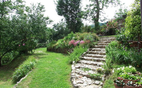 Bottino: Giardino, Vegetazione, Giardino Botanico, Paesaggio Naturale, Proprietà, Pianta, Cortile, Albero, Botanica, Erba
