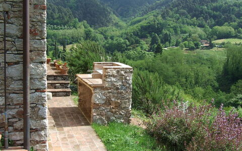 Bottino: Parete, Paesaggio Naturale, Muro ​​Di Pietra, Paesaggio, Albero, Roccia, Area Rurale, Erba, Comunita 'Impianto, Pianta