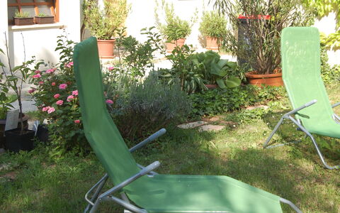 Mörbisch am See 603: Pianta, Proprietà, Finestra, Mobili Da Esterno, Erba, Fiore, Impianto Terrestre, Sedia, Bracciolo, Arbusto