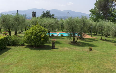 Casa Tonio: Lotto, Pascolo, Paesaggio Naturale, Proprietà, Erba, Stabilimento Sportivo, Hill Station, Albero, Paesaggio, Prato