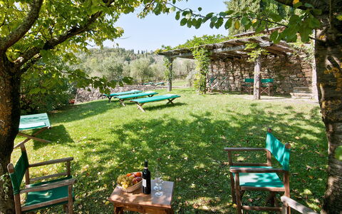 Casavecchia: Pianta, Verde, Shade, Albero, Botanica, Mobili Da Esterno, Vegetazione, Paesaggio Naturale, Erba, Biome