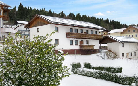 Irene: Proprietà, Neve, Casa, Costruzione, Tetto, Immobiliare, Architettura, Inverno, Casa, Albero