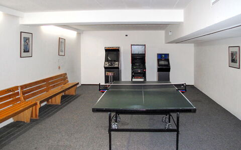 Maierhöfen 608: Tavolo, Mobilia, Costruzione, Attrezzatura Sportiva, Sala Di Ricreazione, Table Tennis Racket, Sala, Legna, Ping Pong, Cornice