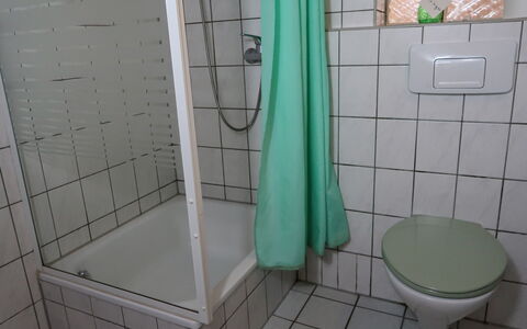 Wesenberg 602: Idraulico Fixture, Proprietà, Bagno, Viola, Doccia, Interior Design, Pavimentazione, Pavimento, Doccia Porta