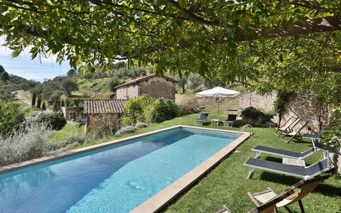 Chiodo: Piscina, Proprietà, Backyard, Casa, Immobiliare, Tempo Libero, Costruzione, Estate, Cortile, Villa