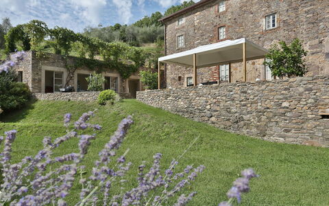 Chiodo: Lavanda, Proprietà, Fiore, Casa, Pianta, Architettura, Parete, Erba, Costruzione, Giardino