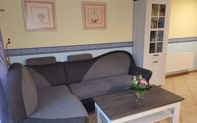 Breege 639: Mobilia, Cornice, Proprietà, Tavolo, Fiore, Pianta, Divano, Interior Design, Divano Letto, Pavimento