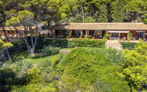 Finca L'Embat: Pianta, Comunita 'Impianto, Albero, Paesaggio Naturale, Botanica, Vegetazione, Erba, Costruzione, Woody Impianto, Arbusto